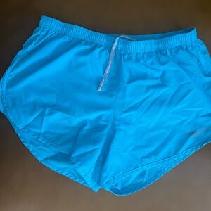 Nike Light Blue Dri-FIT Shorts